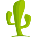 CactusVPN