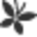 Free Proxy List